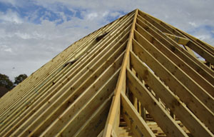 A timber frame roof